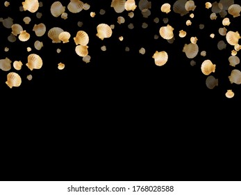 Gold seashells vector, golden pearl bivalved mollusks. Cute scallop, bivalve pearl shell, marine mollusk isolated on black wild life nature background. Chic gold sea shell vector.