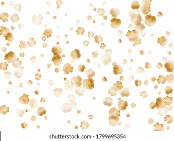 Goldmuscheln, Vektor, goldene Perlen, bivalierte Mollusken. Muscheln, Muscheln aus Muscheln, Muscheln einzeln auf weißem Naturhintergrund. Stilvolle Gold-Muschel-Grafiken.