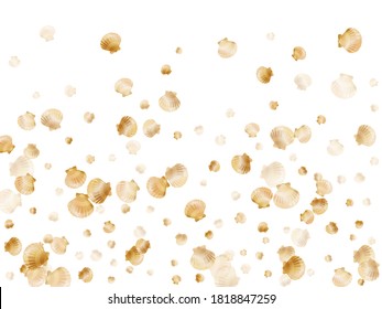 Gold seashells vector, golden pearl bivalved mollusks. Macro scallop, bivalve pearl shell, marine mollusk isolated on white wild life nature background. Chic gold sea shell graphics.