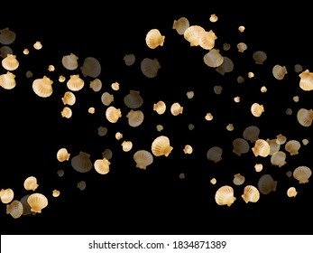 Gold seashells vector, golden pearl bivalved mollusks. Aquatic scallop, bivalve pearl shell, marine mollusk isolated on black wild life nature background. Chic gold sea shell design.