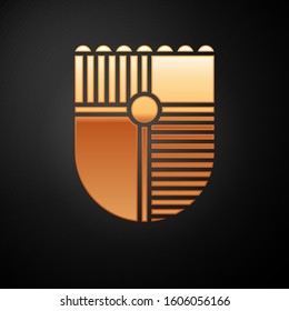 Gold Shield for game icon isolated on black background.  Vector Illustration