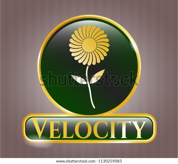  Gold shiny badge with flower icon and Velocity
text inside