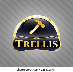 Gold shiny badge with hammer icon and Trellis text inside