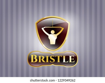  Gold shiny badge with lat pull down, exercise icon and Bristle text inside