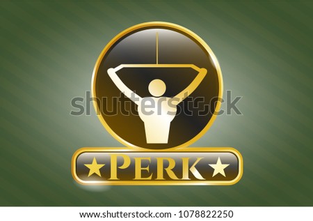   Gold shiny badge with lat pull down, exercise icon and Perk text inside