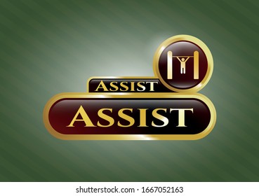  Gold shiny badge with pull up icon and Assist text inside