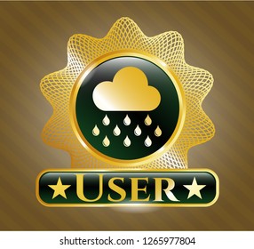  Gold shiny badge with rain icon and User text inside