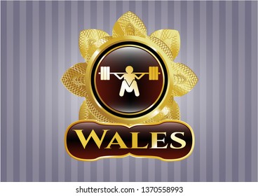  Gold shiny emblem with deep squat icon and Wales text inside