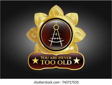  Gold shiny emblem with drawing compass icon and You are Never too old text inside