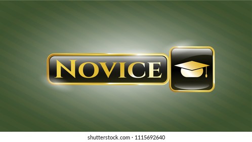 Gold shiny emblem with graduation cap icon and Novice text inside Gold shiny emblem with graduation cap icon and Novice text inside