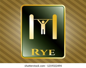 Gold shiny emblem with pull up icon and Rye text inside