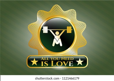  Gold shiny emblem with snatch, weightlifting icon and All you Need is Love text inside