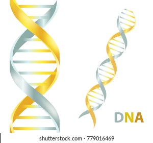 Gold and silver Dna icon. Dna symbol. Dna helix symbol. Gene icon. Vector illustration on white background