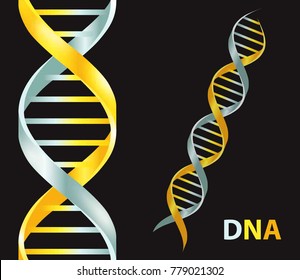 Gold and silver Dna icon. Dna symbol. Dna helix symbol. Gene icon. Vector illustration on black background