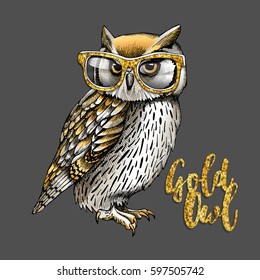 Gold and Silver owl in a glitter glasses on a dark gray background. Vector illustration.