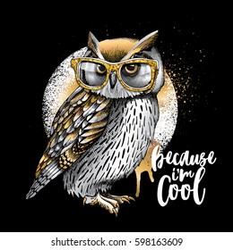 owl in sunglasses