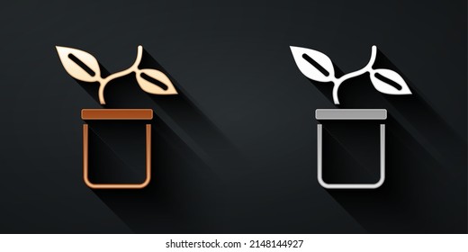 Planta de oro y plata en icono de olla aislada en fondo negro. Planta creciendo en una olla. Cartel de la planta putrefacta. Estilo de sombra larga. Vector