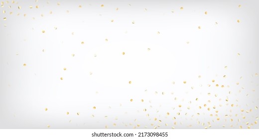 Gold, Silver Rich Falling Bokeh Confetti. Sparkling Expensive New Year Christmas Garland Vector Background. VIP Gold, Silver Lights, Sparkles, Gradient Tinsel Confetti. Sparkling Winter Frame.