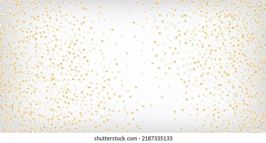 Gold, Silver Rich Falling Bokeh Confetti. Sparkling Winter Frame. VIP Gold, Silver Lights, Sparkles, Gradient Tinsel Confetti. Magic Premium New Year Christmas Decoration Vector Background.