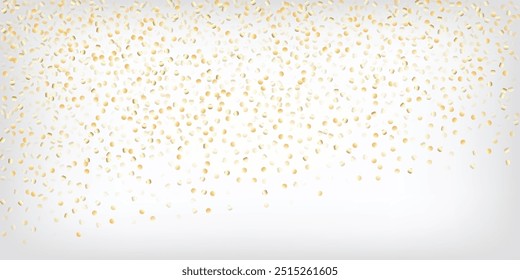 Gold, Silver Rich Falling Bokeh Confetti. Sparkling Winter Border. VIP Gold, Silver Lights, Sparkles, Gradient Tinsel Confetti. Premium Sparkling New Year Christmas Celebration Vector Background.