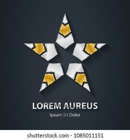Gold and Silver star logo. Metallic logotype template. Award 3d icon. Volume Vector illustration.