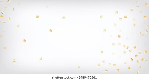 Gold, Silver VIP Falling Bokeh Confetti. Sparkling Winter Sequins. Rich Gold, Silver Lights, Sparkles, Gradient Tinsel Confetti. Luxury Premium New Year Christmas Decoration Vector Background.