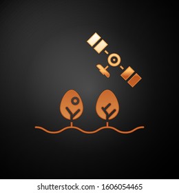 Gold Smart farm with drone control and tree icon isolated on black background. Innovation technology for agricultural company.  Vector Illustration