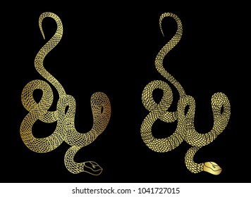Gold snake vector on black background