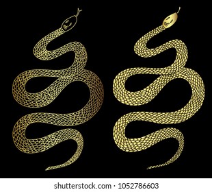 Gold snake vector on black background
