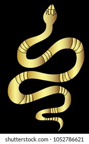Gold snake vector on black background