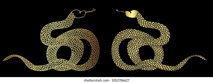 Gold snake vector on black background