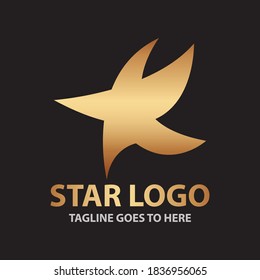 
gold star logo design on black background. Premium Vectors