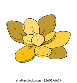 Gold succulent tropical flower