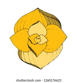 Gold succulent tropical flower
