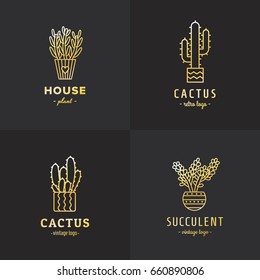 Gold succulents and cactus vector set. Hipster and retro style. Part one.