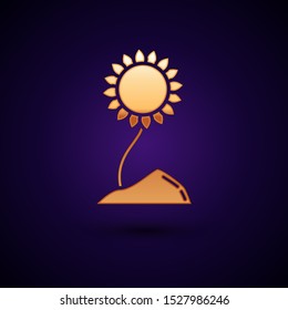 Gold Sunflower icon isolated on dark blue background.  Vector Illustration