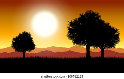 Gold sunset with three trees