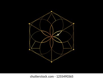 Gold Symbol of alchemy esoteric, Flower of Life. Sacred geometry, graphic element Vector isolated Illustration. Golden Mystic icon platonic solids, abstract geometric drawing, typical crop circles