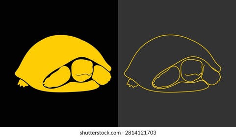 Gold tortoise in shell illustration with tortoise wildlife creature