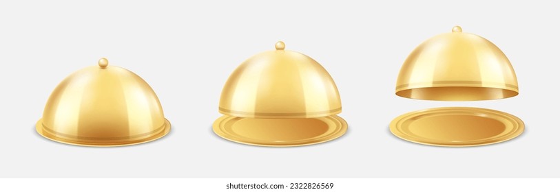 https://image.shutterstock.com/image-vector/gold-tray-empty-cloche-3d-260nw-2322826569.jpg