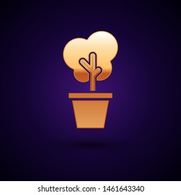 Gold Tree in pot icon isolated on dark blue background. Houseplant in pots. Natural decor for home and interior. Potted plant sign.  Vector Illustration