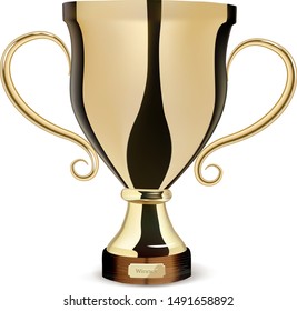 Gold trophy icon - trophy icon - winner icon - first prize icon vector illustration
