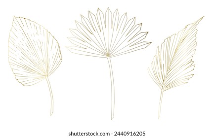 Gold tropical Palm Leaves. Vector illustration with exotic plants on isolated background in linear style. Outline drawing of branches. Line art for modern luxury design. Botanical sketch of foliage.