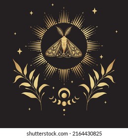 Gold vector illustration of moon moth. For print for T-shirts and bags, decor element. Mystical and magical, astrology illustration