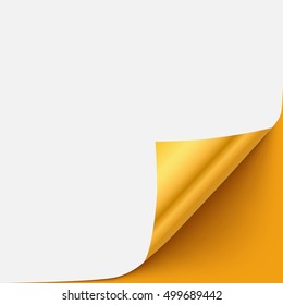 Gold Vector Paper Curled Corner Template With Shadow And Space For Text. Curl Page Element For Advertising, Promo, Sale, Web Sites, Print.