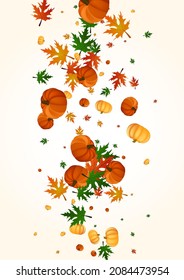 Gold Vegetable Background Light Vector. Colorful October Border. Yellow Pumpkin Thanksgiving Texture. Leaves Decorative. Invitation Illustration.