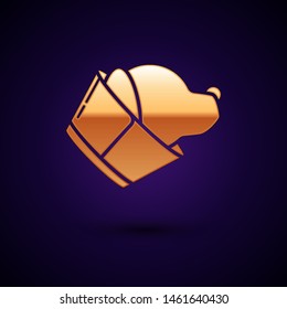 Gold Veterinary clinic symbol icon isolated on dark blue background. Dog veterinary care. Pet First Aid sign.  Vector Illustration