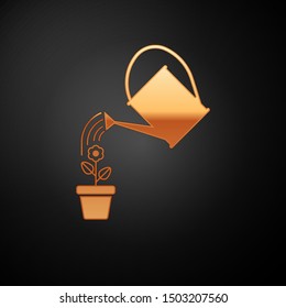 Gold Watering can sprays water drops above flower in pot icon isolated on black background. Irrigation symbol.  Vector Illustration