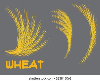 gold wheat
