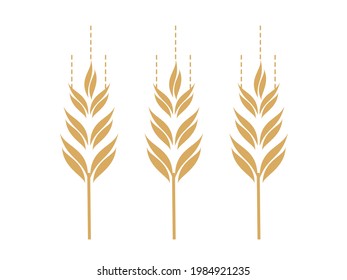 Gold wheat icons logo isolated on white background vector illustration.